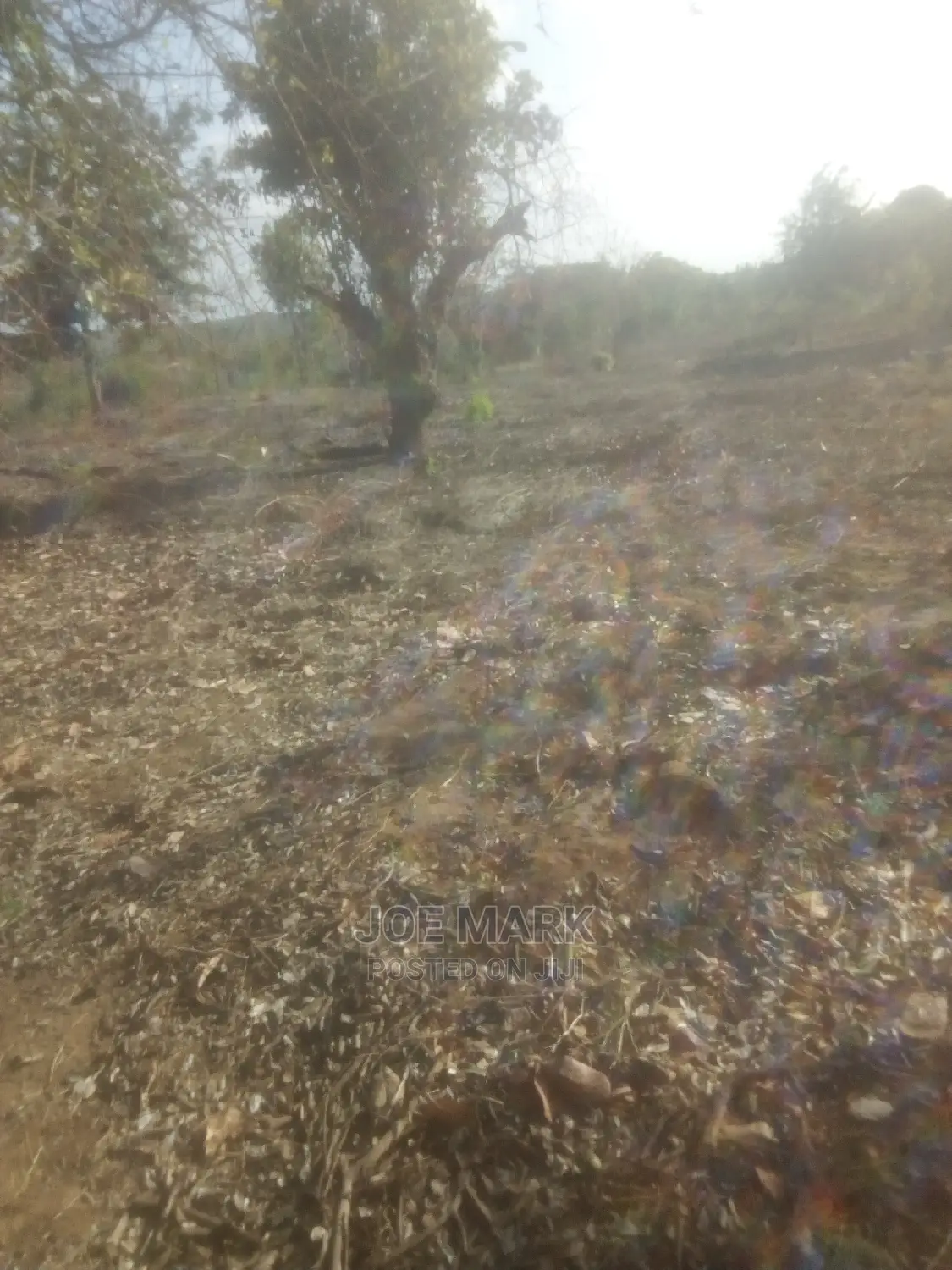 Eneo Linauzwa Kibah