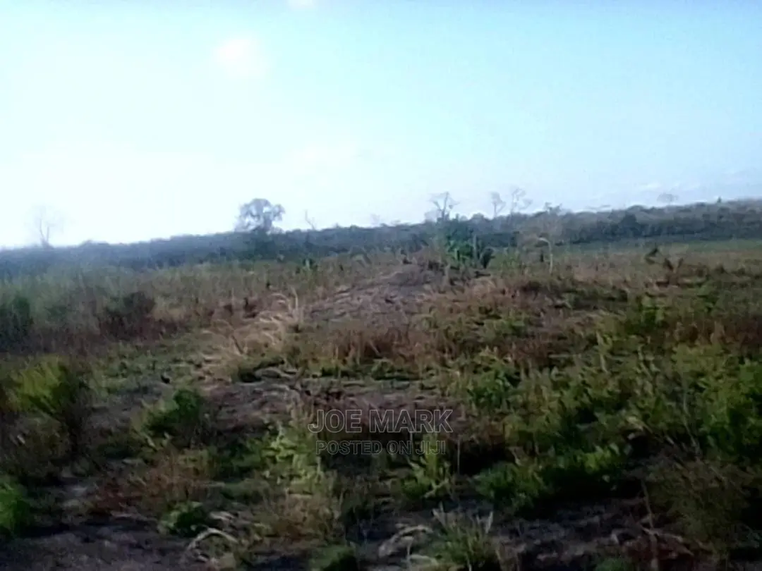 Shamba Linauzwa Masaki Kisarawe