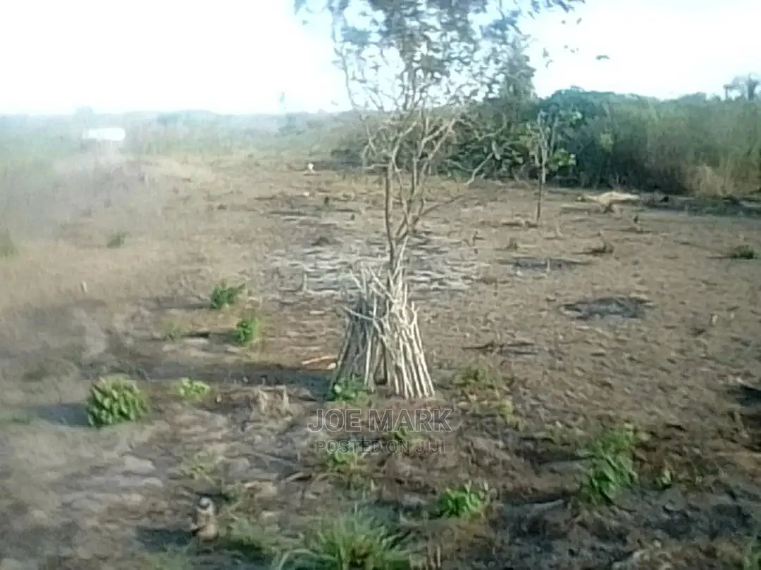 Shamba Linauzwa Masaki Kisarawe
