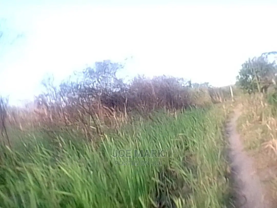 Shamba Linauzwa Masaki Kisarawe