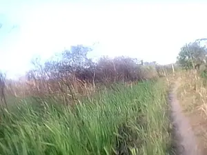 Shamba Linauzwa Masaki Kisarawe