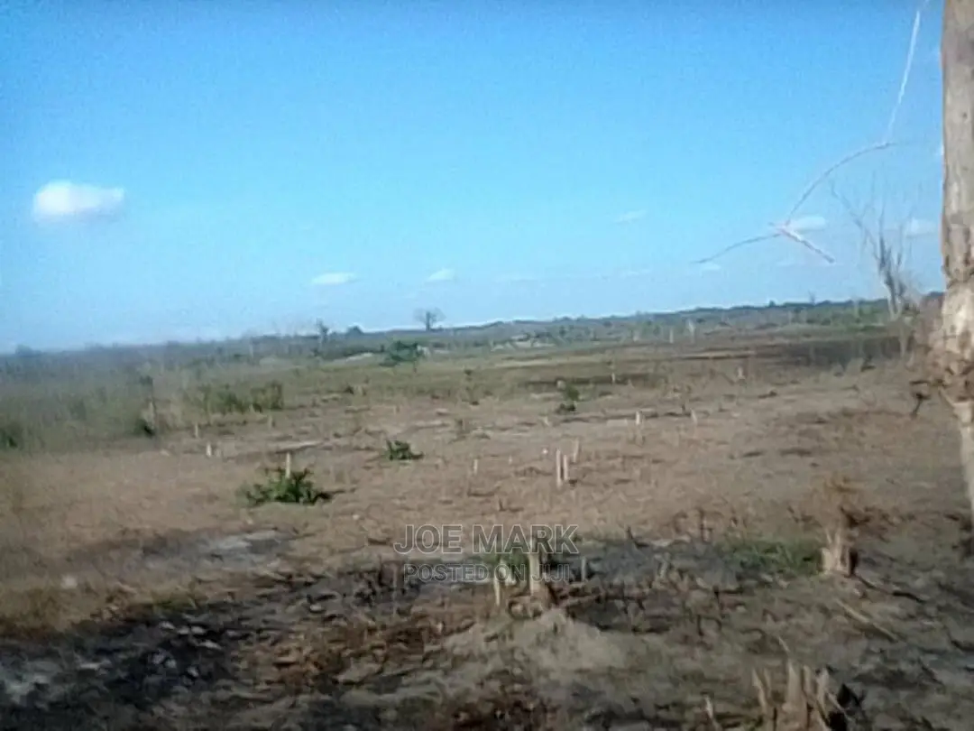 Shamba Linauzwa Masaki Kisarawe
