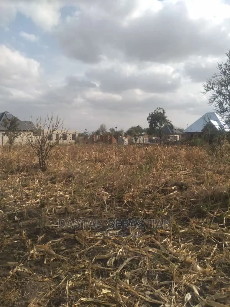 Viwanja Arusha Na Boma in Arusha Land & Plots for Sale, Dastan