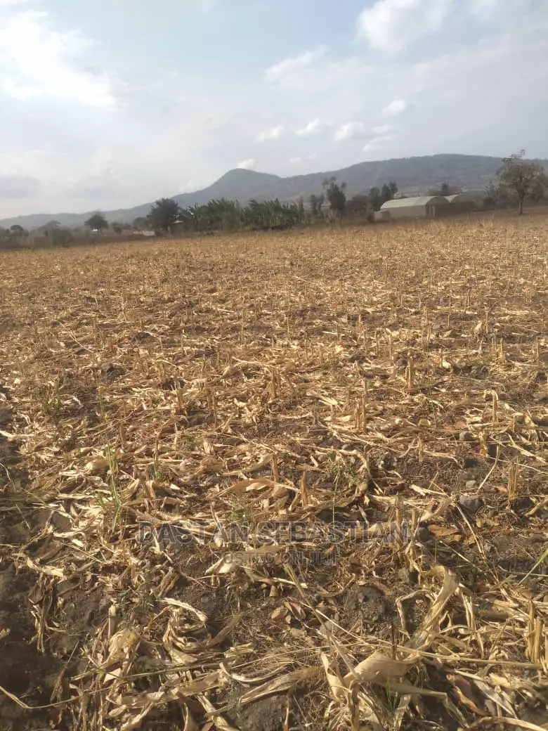 Viwanja Arusha Na Boma in Arusha Land & Plots for Sale, Dastan