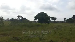 Kigamboni Surveyed Plots for Sale by Owner Starting 9m