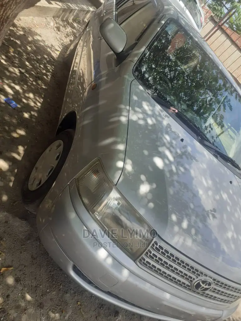 Toyota Probox 2006 Silver