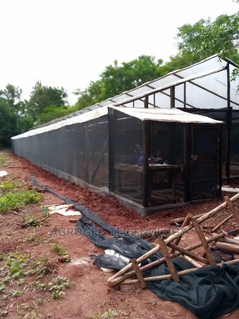 Greenhouse