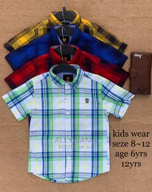 Photo - Boy's Shirt Draft