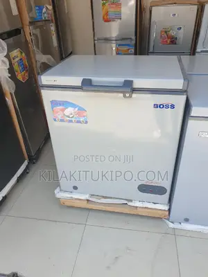 Boss Freezer 200L