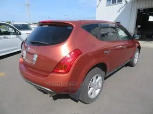 Nissan Murano 2006 Orange