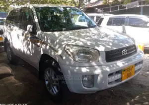 Toyota RAV4 2002 White