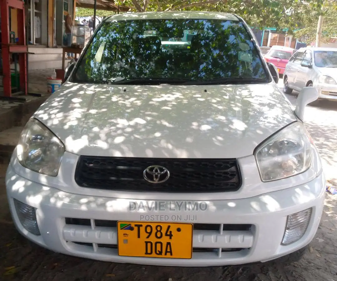 Toyota RAV4 2002 White