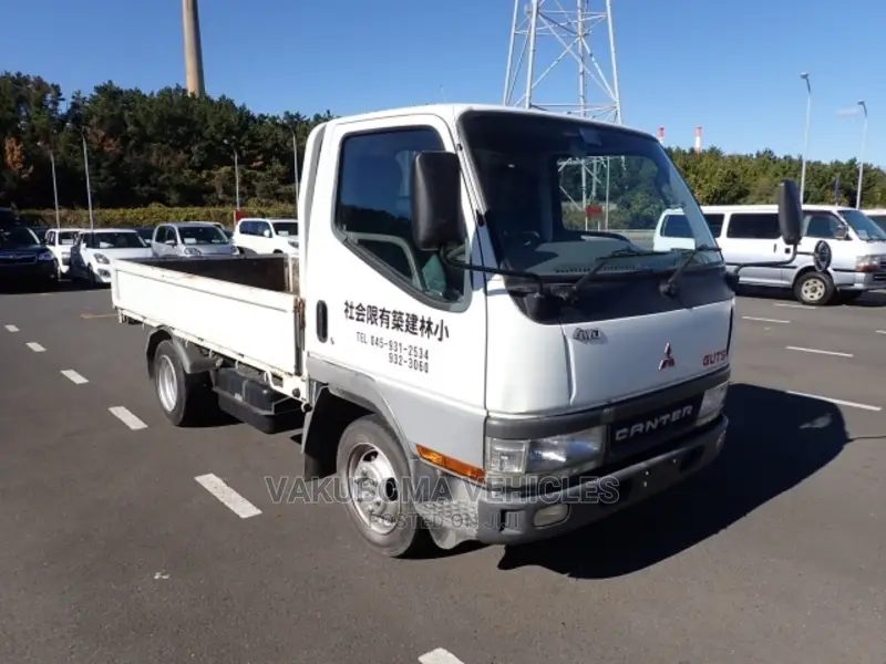 Canter Cargo Truck