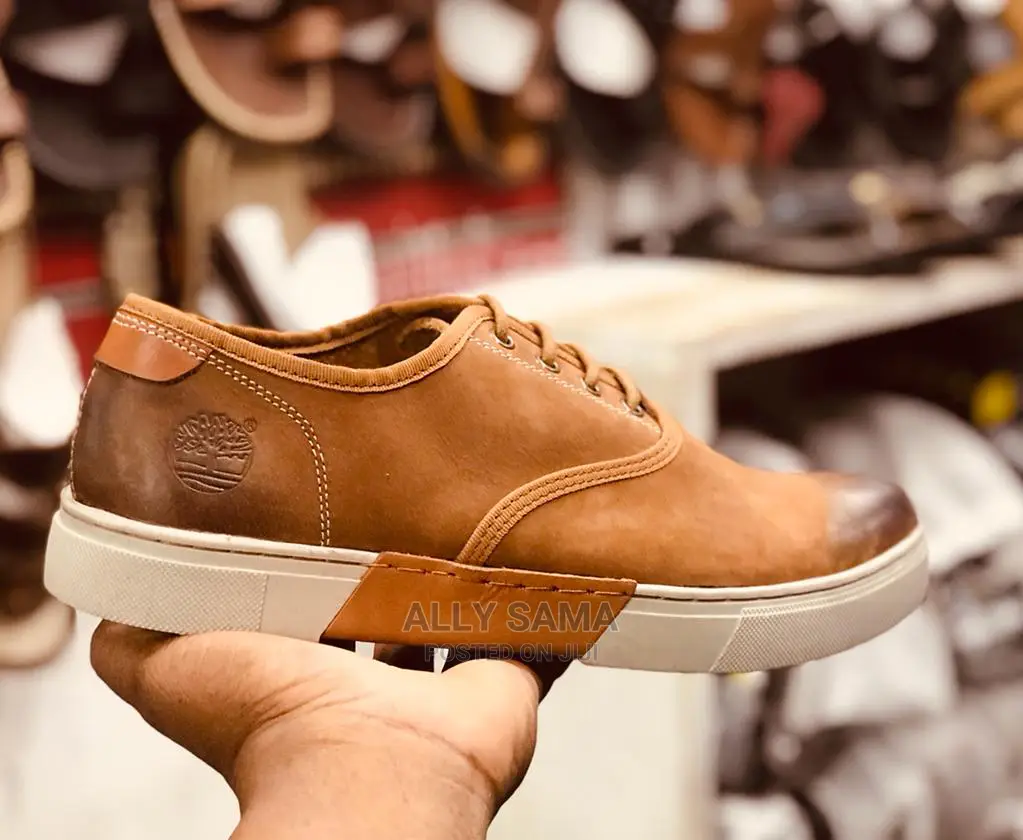 Timberland Brown