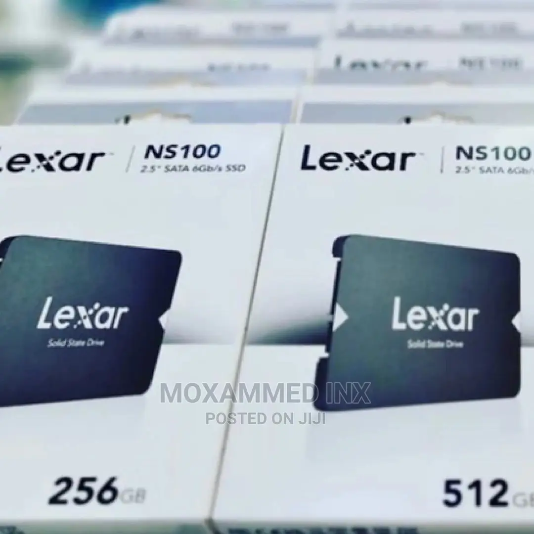 Lexar NS100