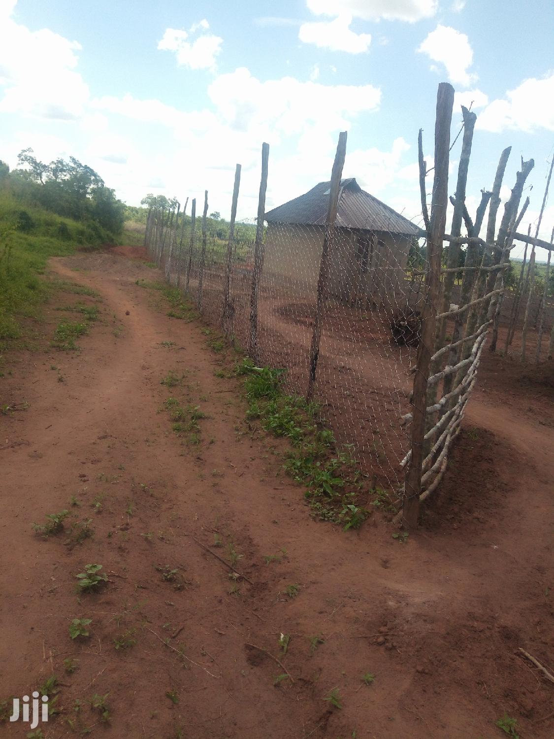 Shamba Linauzwa in Bagamoyo Land & Plots for Sale, Joe Mark Jiji.co.tz