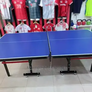 Table Tennis Now Available