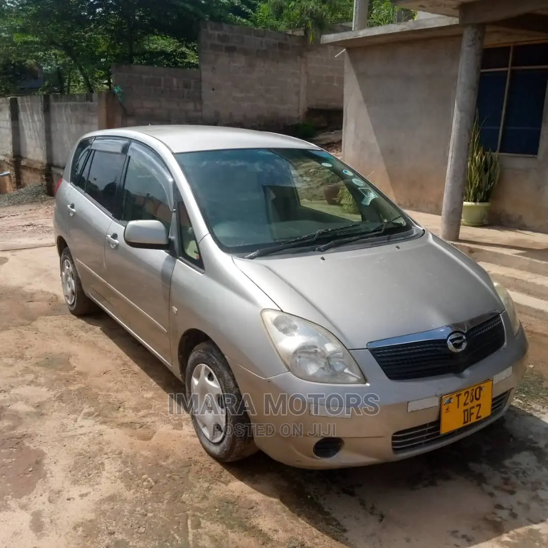 Toyota Corolla Spacio 2003 Gray