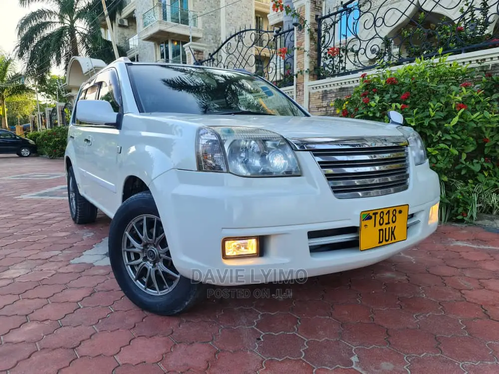 Nissan X-Trail 2004 Pearl