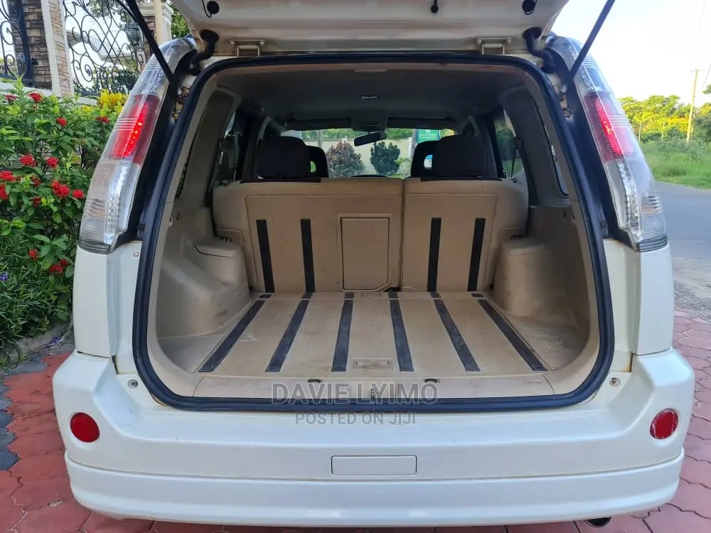 Nissan X-Trail 2004 Pearl