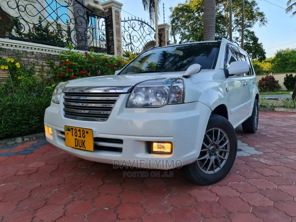 Nissan X-Trail 2004 Pearl