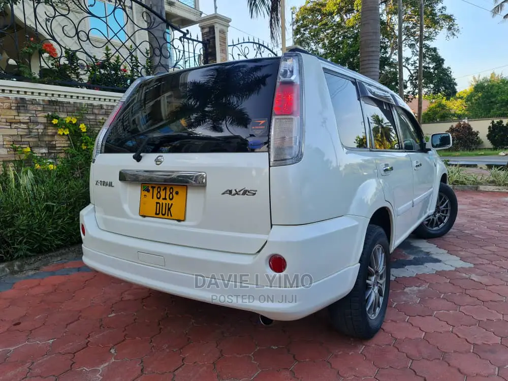 Nissan X-Trail 2004 Pearl