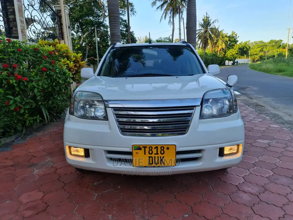 Nissan X-Trail 2004 Pearl
