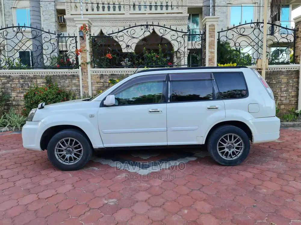 Nissan X-Trail 2004 Pearl