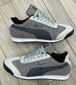 Fashion Sneakers