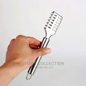 Fish Scales Remover