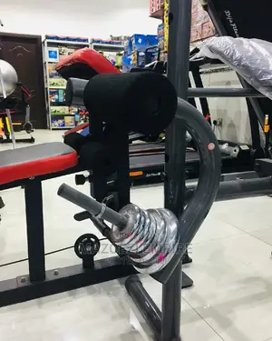 Weights Place Bench Weights