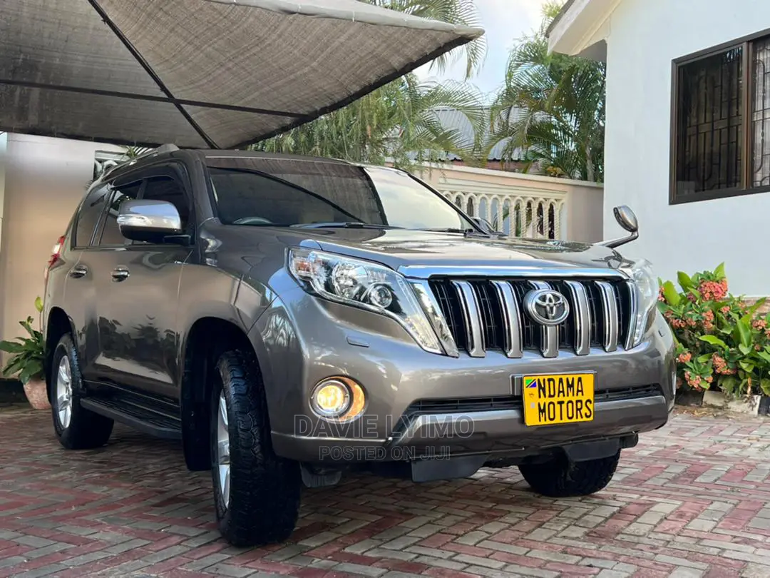 Toyota Land Cruiser 2010 Gray