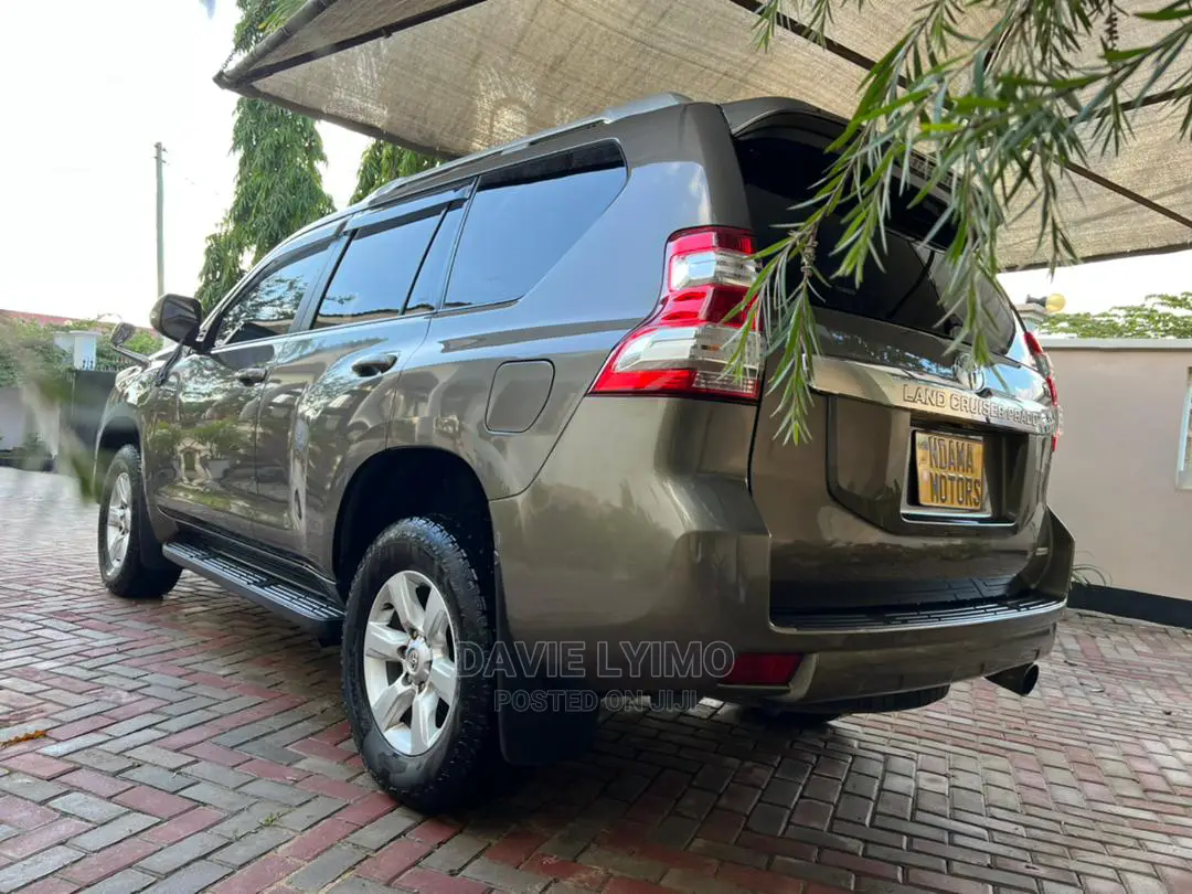 Toyota Land Cruiser 2010 Gray