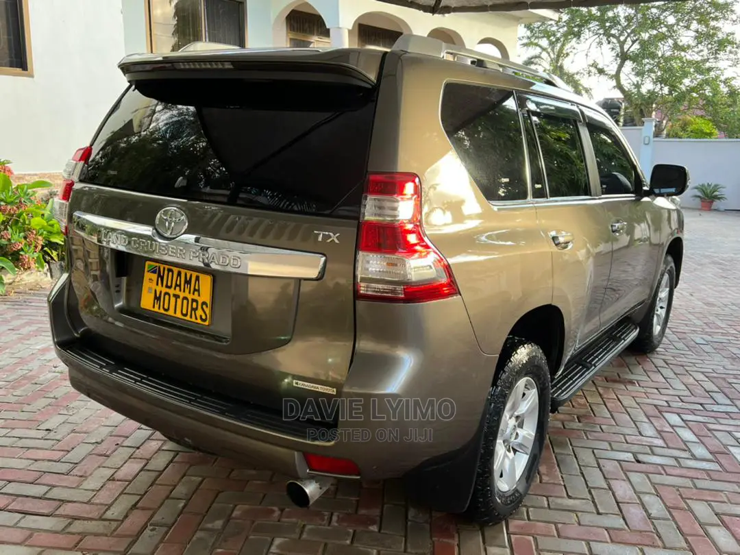 Toyota Land Cruiser 2010 Gray