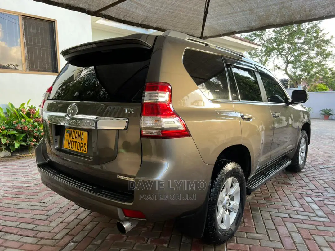 Toyota Land Cruiser 2010 Gray
