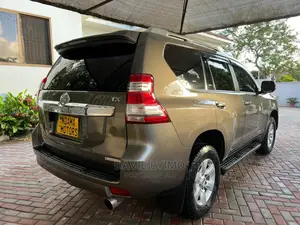 Toyota Land Cruiser 2010 Gray