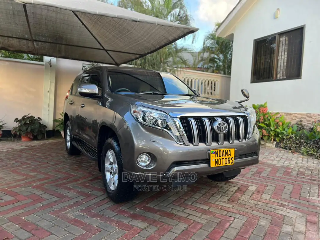 Toyota Land Cruiser 2010 Gray