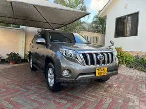 Toyota Land Cruiser 2010 Gray