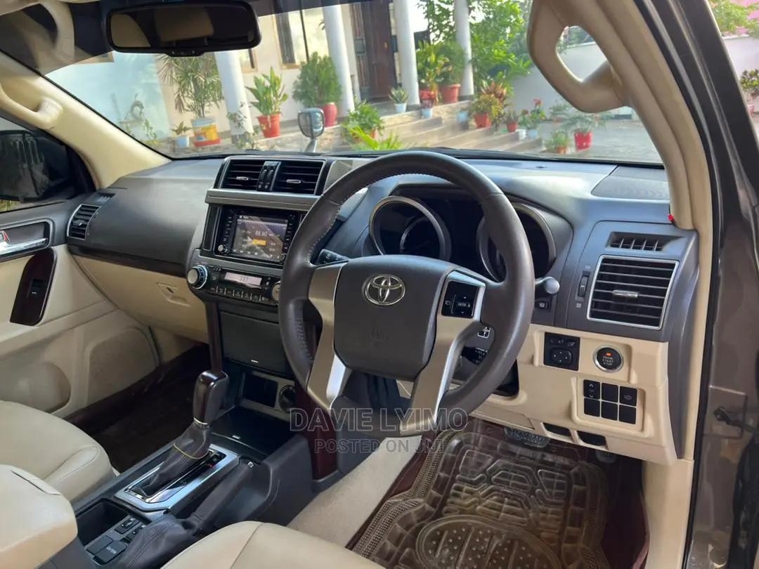 Toyota Land Cruiser 2010 Gray