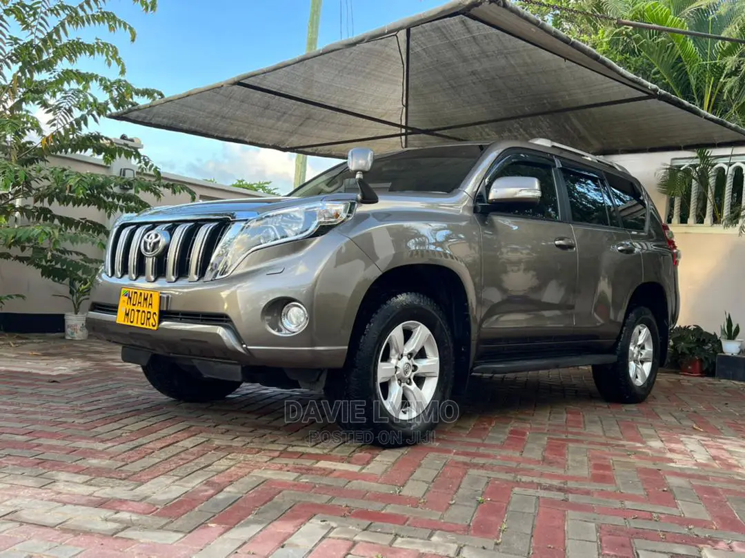 Toyota Land Cruiser 2010 Gray