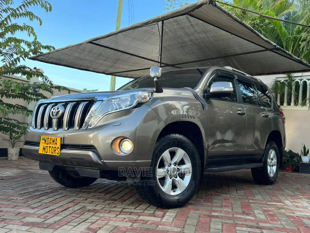 Toyota Land Cruiser 2010 Gray