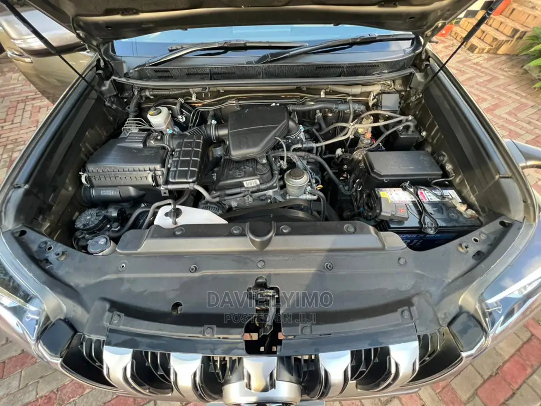 Toyota Land Cruiser 2010 Gray