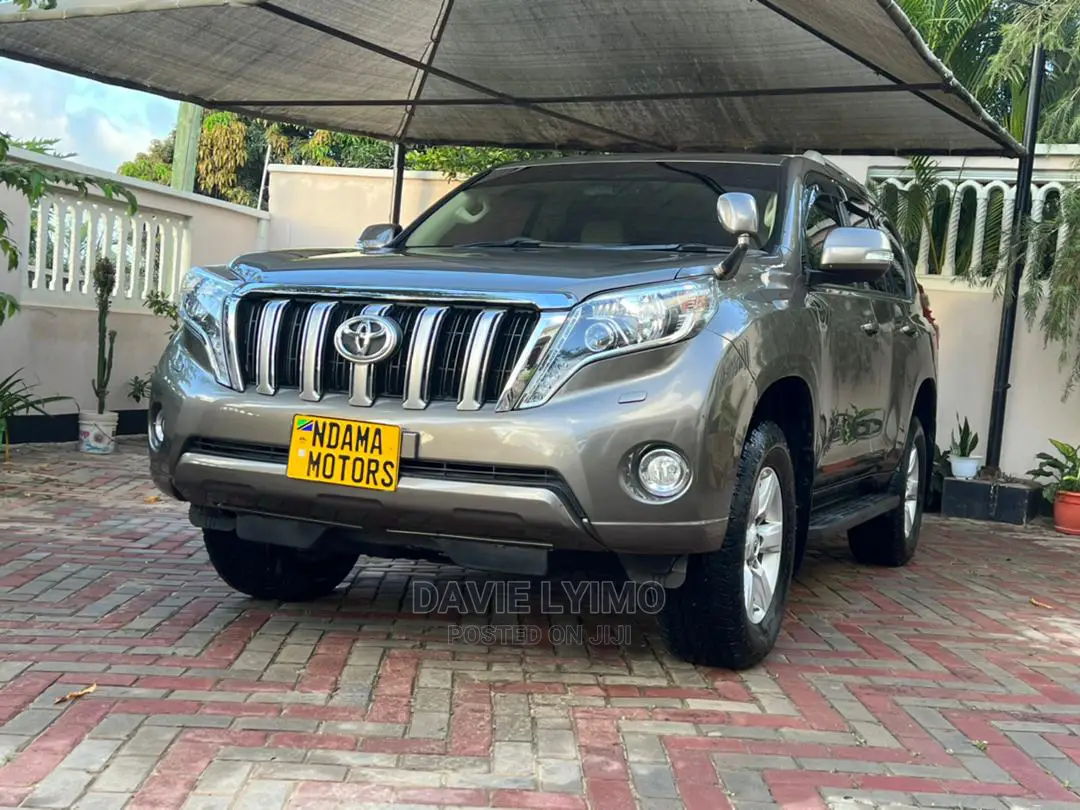 Toyota Land Cruiser 2010 Gray