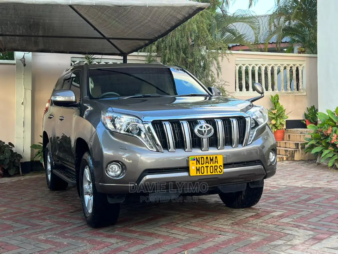 Toyota Land Cruiser 2010 Gray