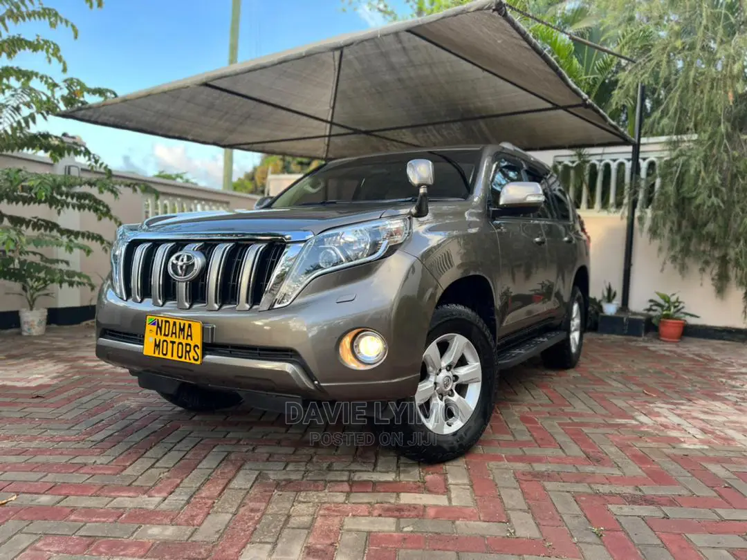Toyota Land Cruiser 2010 Gray