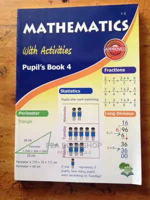 Mathematics Pupils Book Four by APE