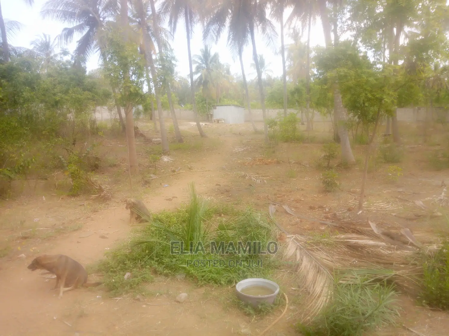 Beach Plot for Sale at Kigamboni Mjimwema