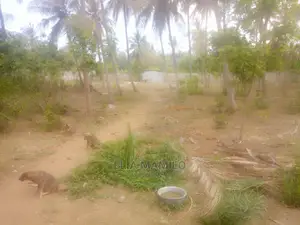 Beach Plot for Sale at Kigamboni Mjimwema