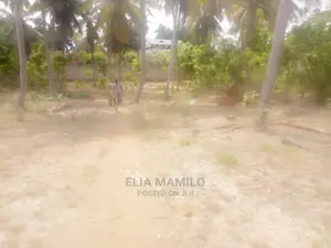 Beach Plot for Sale at Kigamboni Mjimwema