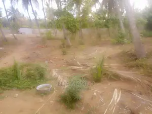 Beach Plot for Sale at Kigamboni Mjimwema